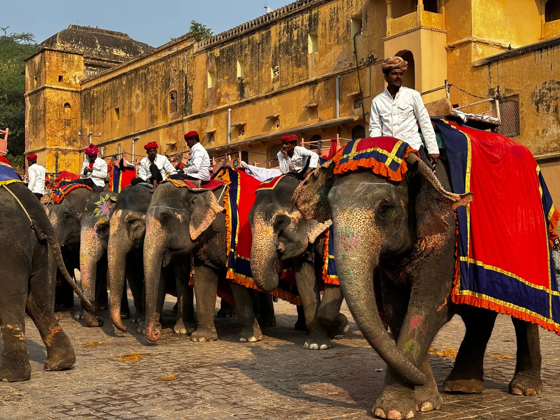 Jaipur : Full day Jaipur City Tour and Drop Delhi
